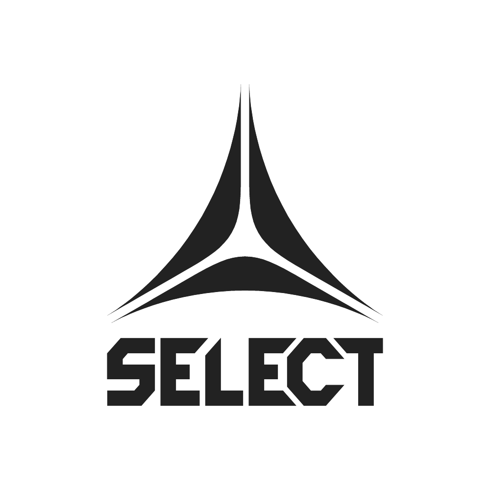Select Sort Select Sort